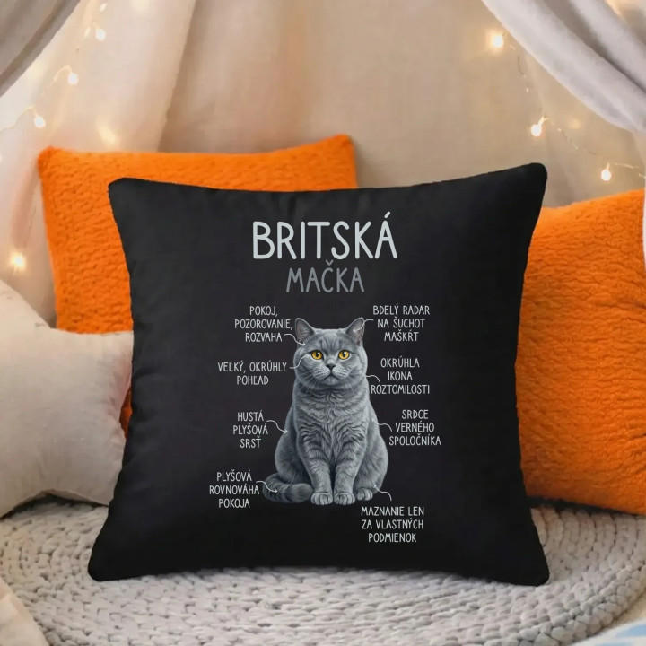 Britská mačka - Anatómia - čierny vankúš s potlačou