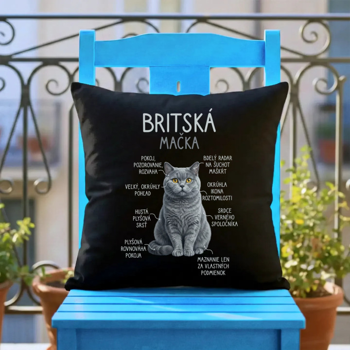 Britská mačka - Anatómia - čierny vankúš s potlačou