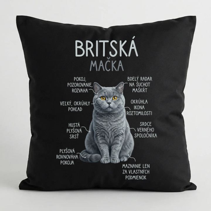 Britská mačka - Anatómia - čierny vankúš s potlačou