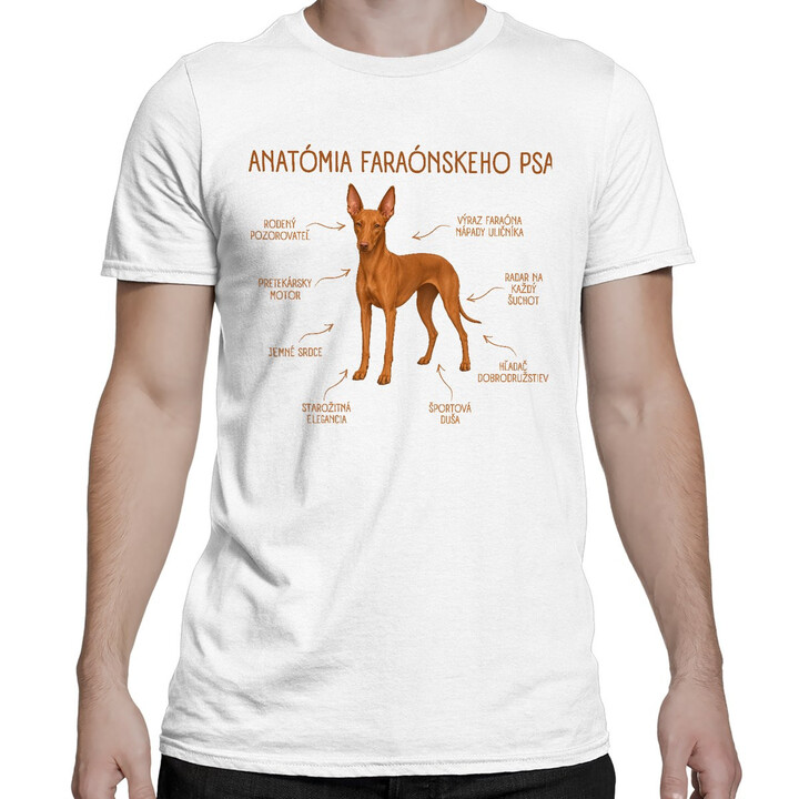 Anatómia faraónskeho psa - pánske tričko s potlačou
