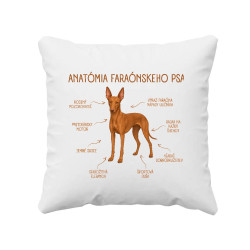 Anatómia faraónskeho psa - vankúš s potlačou
