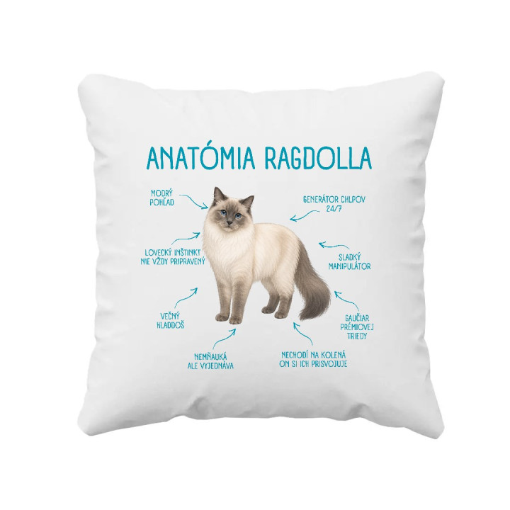 Anatómia ragdolla - vankúš s potlačou