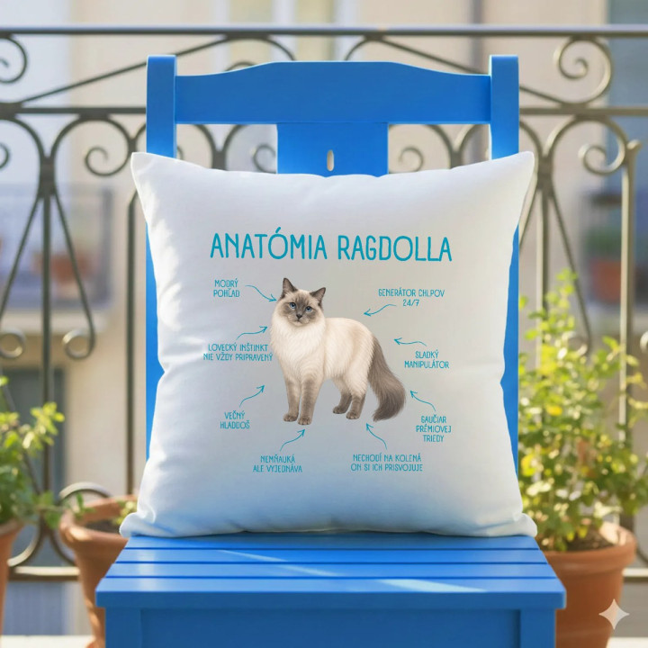 Anatómia ragdolla - vankúš s potlačou