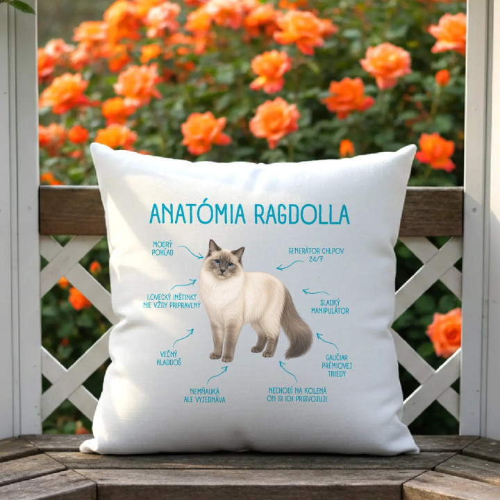 Anatómia ragdolla - vankúš s potlačou