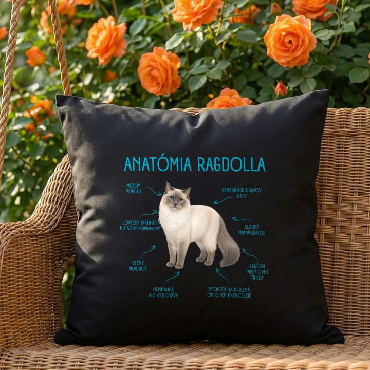 Anatómia ragdolla - čierny vankúš s potlačou