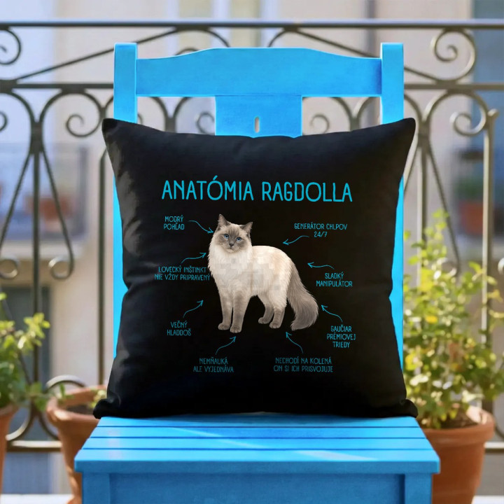 Anatómia ragdolla - čierny vankúš s potlačou