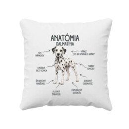Anatómia dalmatína - vankúš s potlačou