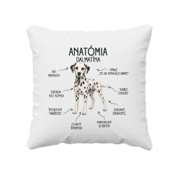 Anatómia dalmatína - vankúš s potlačou