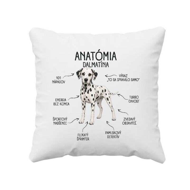 Anatómia dalmatína - vankúš s potlačou
