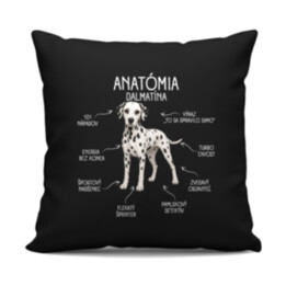 Anatómia dalmatína - čierny vankúš s potlačou