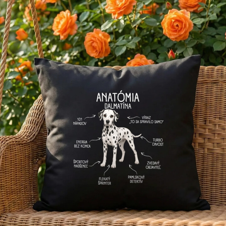 Anatómia dalmatína - čierny vankúš s potlačou