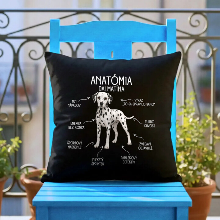 Anatómia dalmatína - čierny vankúš s potlačou