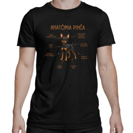 Anatómia pinča - pánske tričko s potlačou
