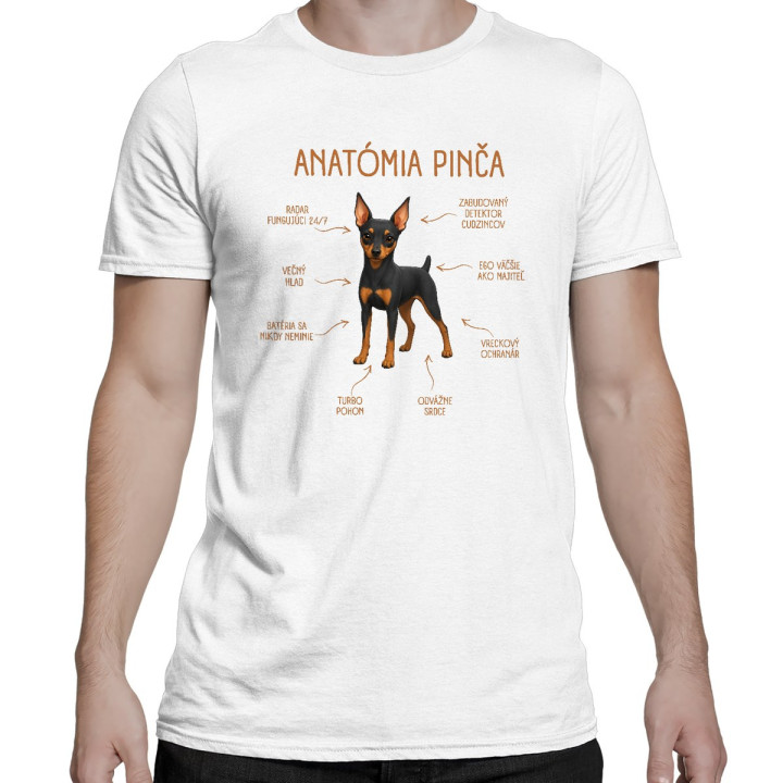Anatómia pinča - pánske tričko s potlačou