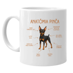 Anatómia pinča - keramický hrnček s potlačou