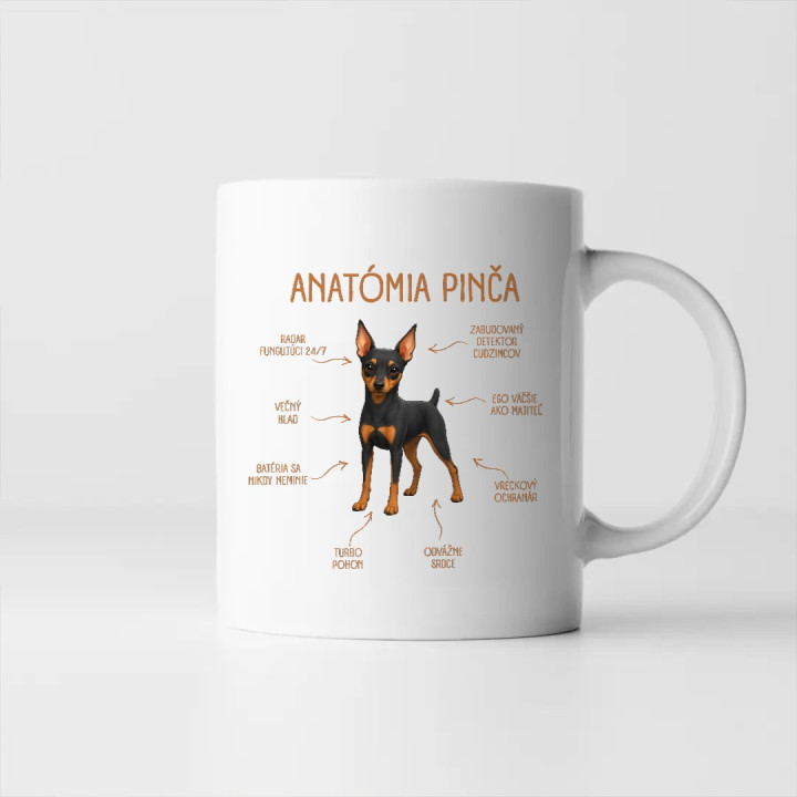 Anatómia pinča - keramický hrnček s potlačou