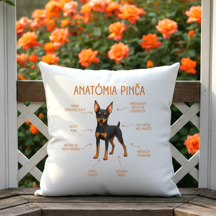 Anatómia pinča - vankúš s potlačou