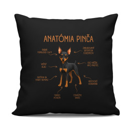 Anatómia pinča - čierny vankúš s potlačou