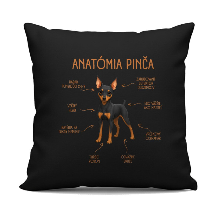 Anatómia pinča - čierny vankúš s potlačou