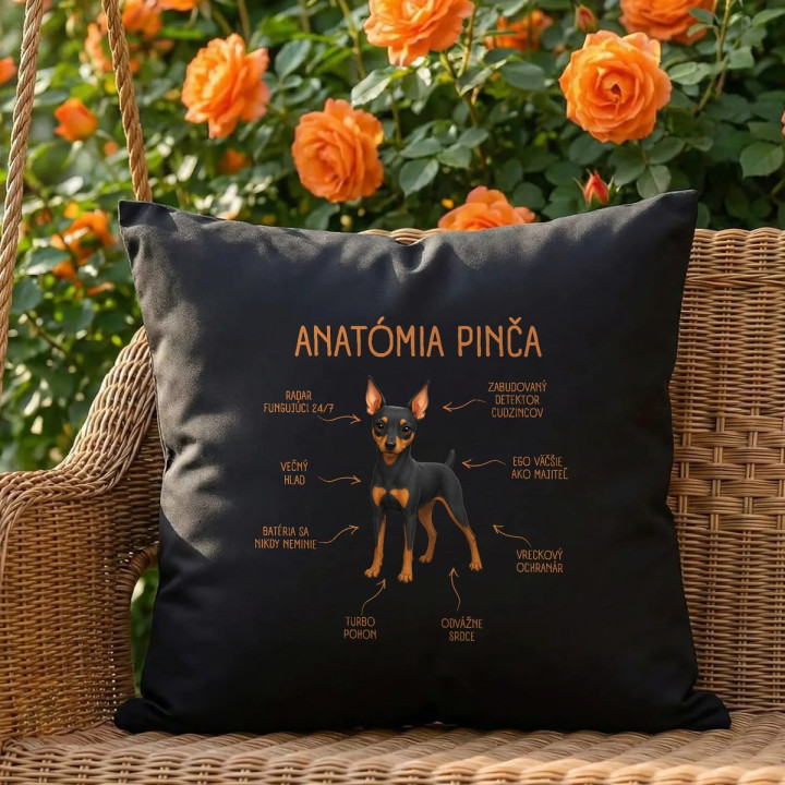 Anatómia pinča - čierny vankúš s potlačou