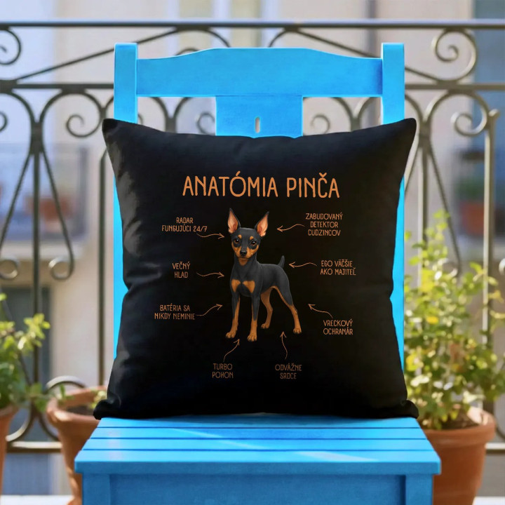 Anatómia pinča - čierny vankúš s potlačou
