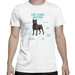 Anatómia cane corso - pánske tričko s potlačou