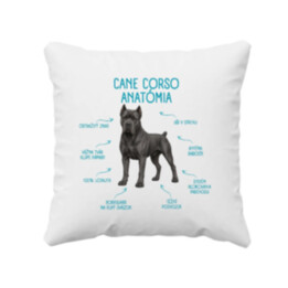 Anatómia cane corso - vankúš s potlačou