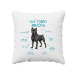 Anatómia cane corso - vankúš s potlačou