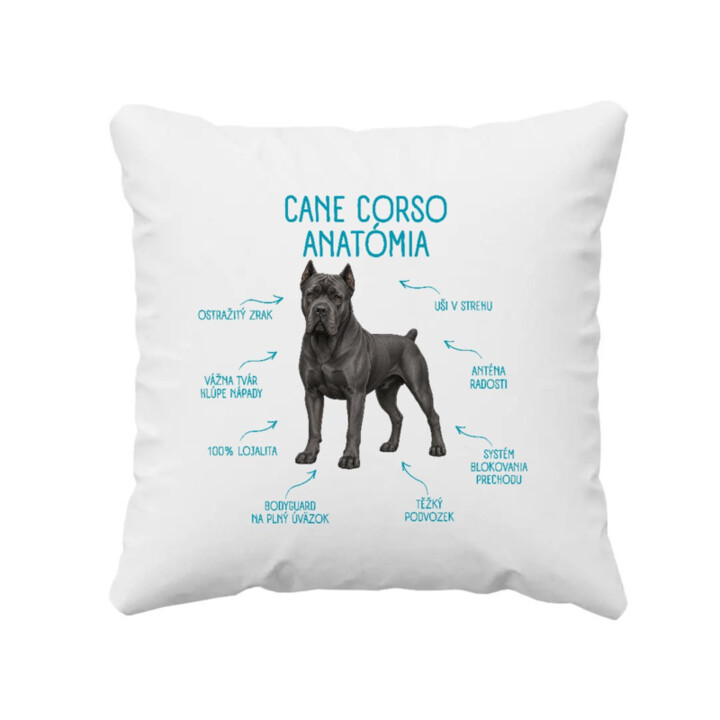 Anatómia cane corso - vankúš s potlačou