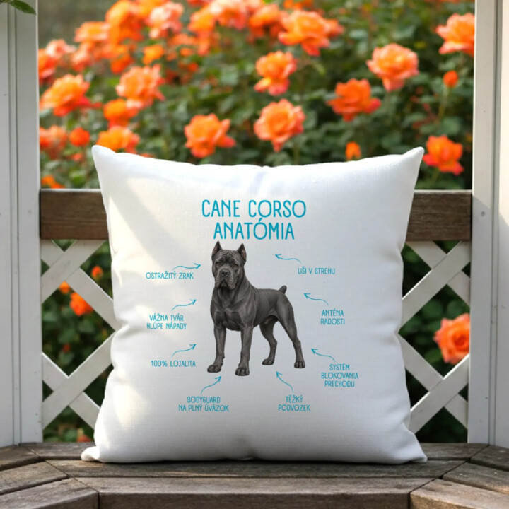 Anatómia cane corso - vankúš s potlačou