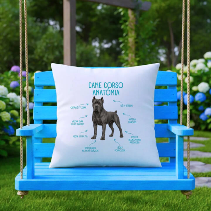 Anatómia cane corso - vankúš s potlačou