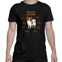 Anatómia papillona - pánske tričko s potlačou