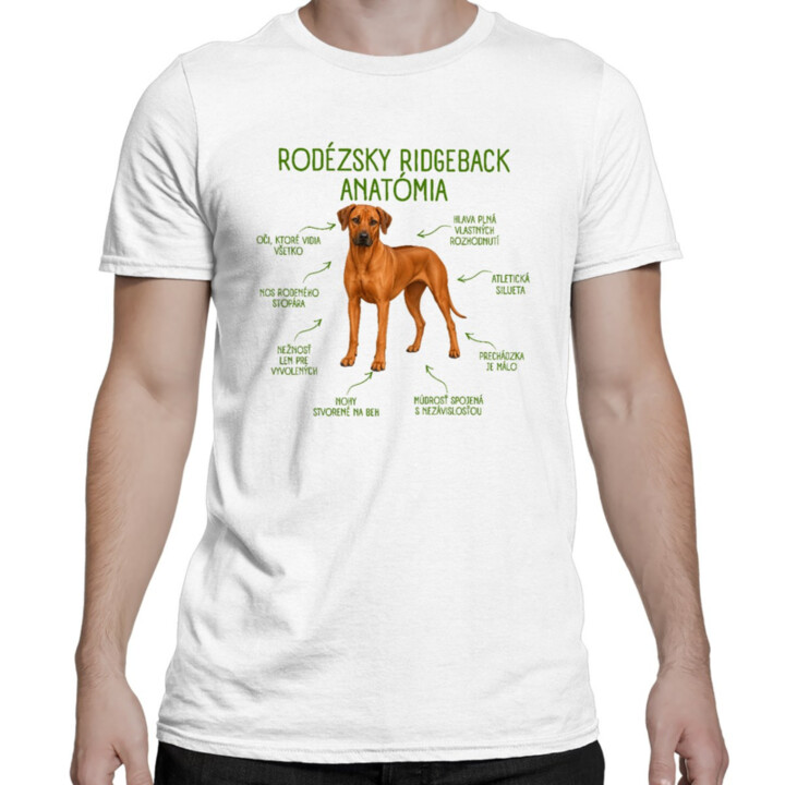 Anatómia rodézskeho ridgebacka - pánske tričko s potlačou