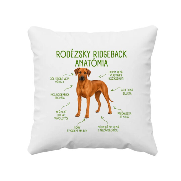 Anatómia rodézskeho ridgebacka - vankúš s potlačou