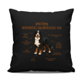 Anatómia bernského salašníckeho psa - čierny vankúš s potlačou