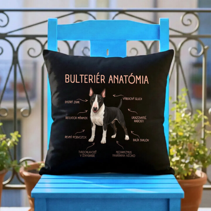 Anatómia bulteriéra - čierny vankúš s potlačou