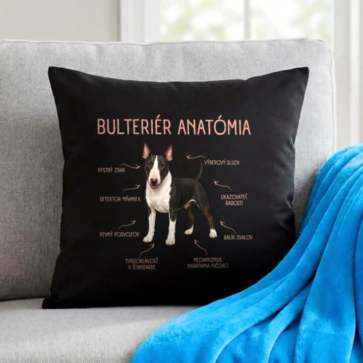 Anatómia bulteriéra - čierny vankúš s potlačou
