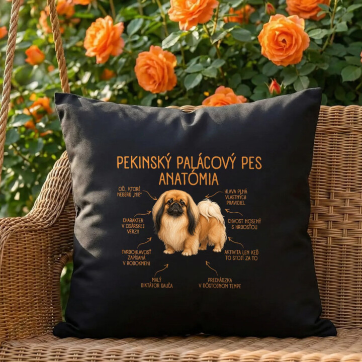 Anatómia pekinského palácového psa - čierny vankúš s potlačou