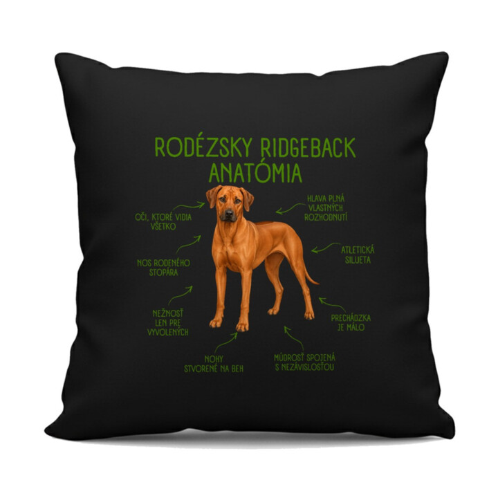 Anatómia rodézskeho ridgebacka - čierny vankúš s potlačou