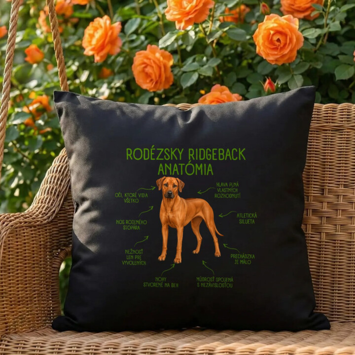 Anatómia rodézskeho ridgebacka - čierny vankúš s potlačou